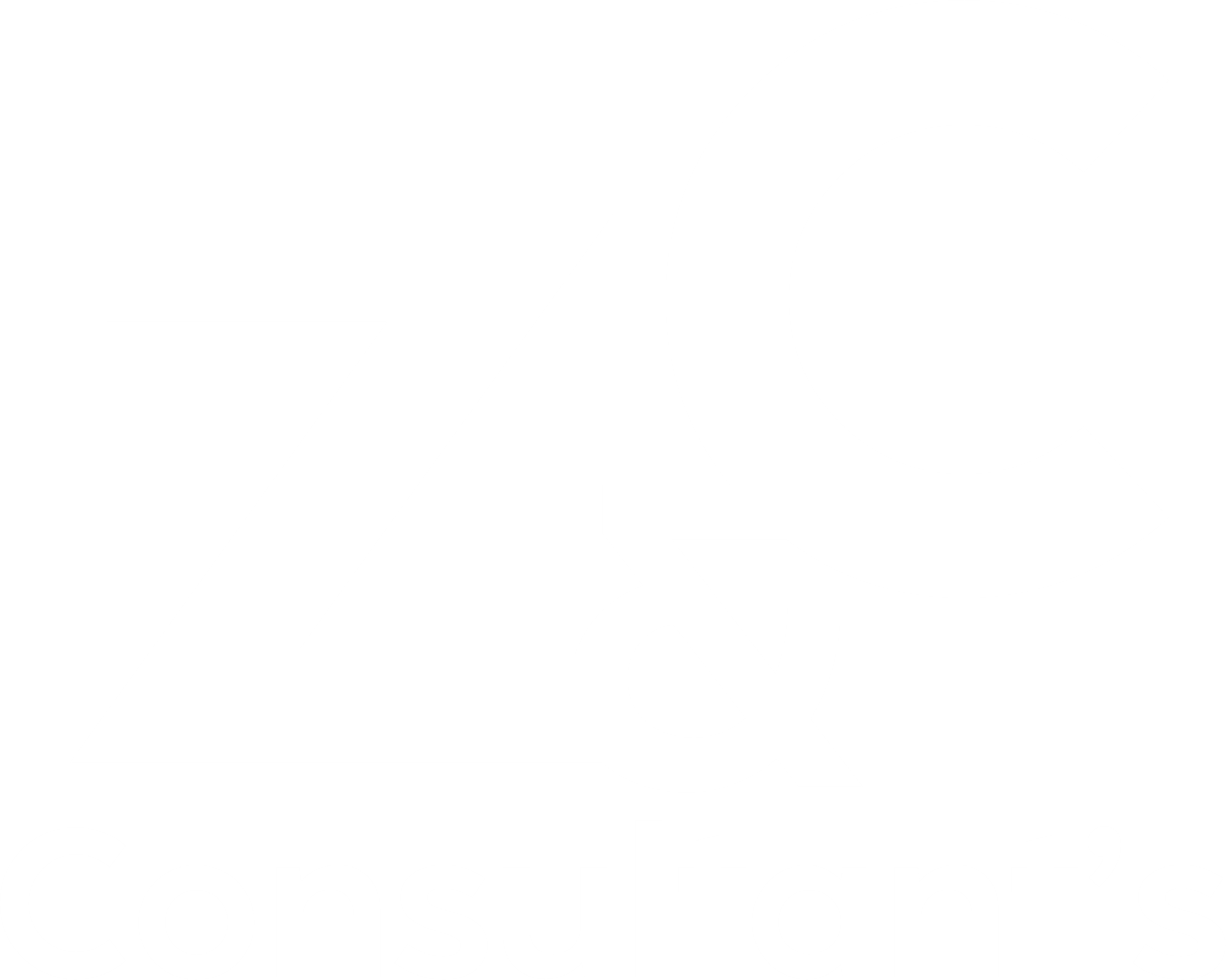 Z&C Consultants